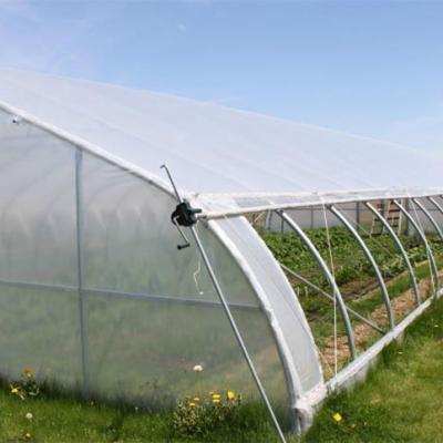 Tunnel Single-span Plastic Film Greenhouse 