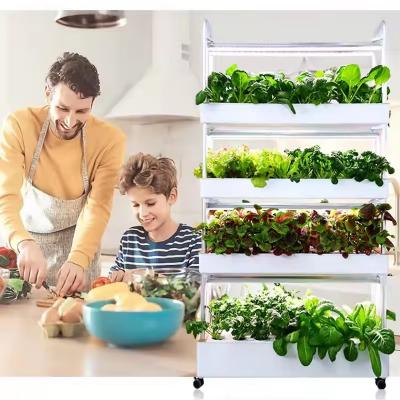 Indoor Vertical Hydroponic Growing Kit