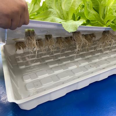 Growing Hydroponic Nursery Trays