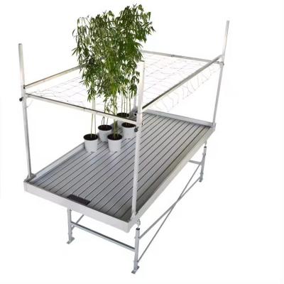 Hydroponics Ebb and Flow Table