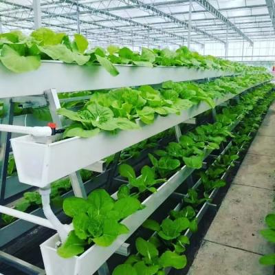 U-type Plant Gutter Hydroponic System