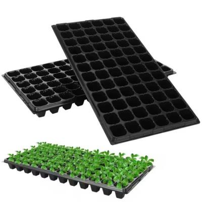 Plant Growing Seeding Trays