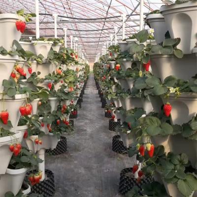 Vertical Strawberry Tower Pot