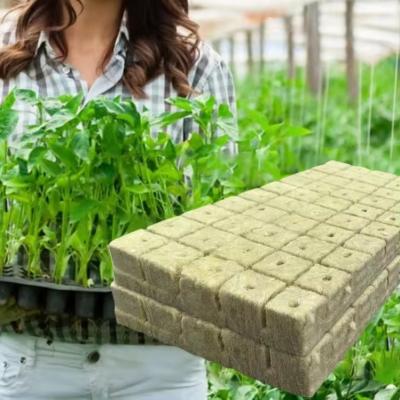 Agricultural Hydroponic Rockwool Cubes