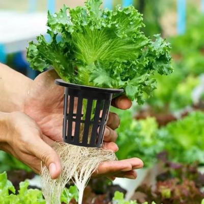 Hydroponic Plant Net Pots