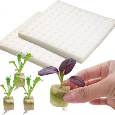 Hydroponic Planting Foams Seeding Sponge