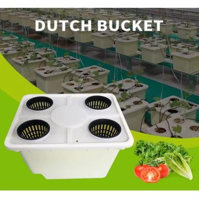 Hydroponics Dutch Bucket Plastic Bato Bucket