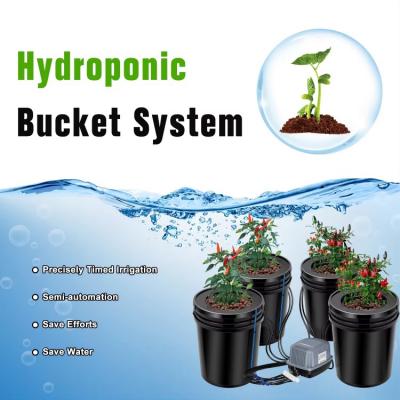 Deep Water Culture Growing Bucket System