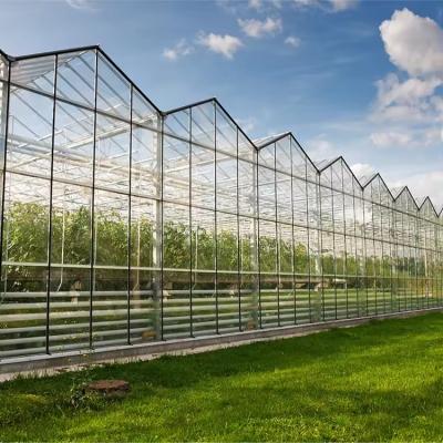 Multi-Span Agricultural Glass Greenhouse