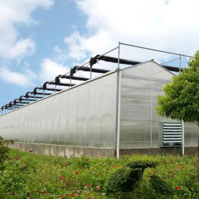 Commercial Polycarbonate Greenhouse