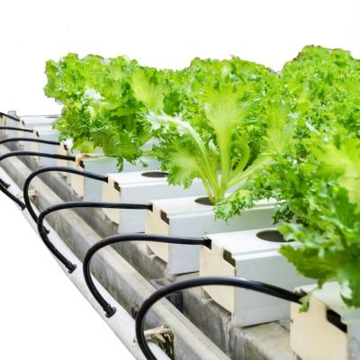 Hydroponic System NFT Channel 