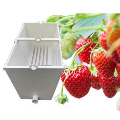 Substrate Strawberry Gutter Hydroponics System