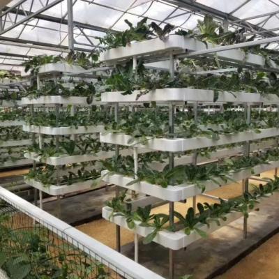 NFT Vertical Hydroponic Systems