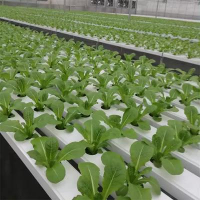 NFT PVC Channel Gutter Hydroponic System